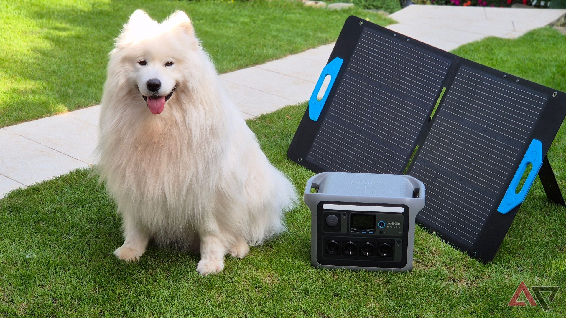 This portable battery helps me travel with my dog