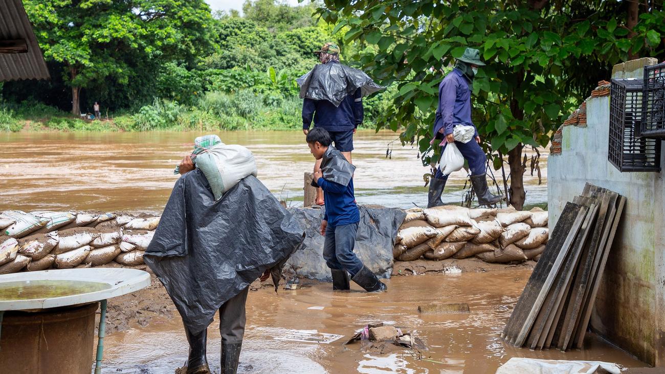 Land unter in Nordthailand: Wieder Überflutungen in Chiang Mai - 117 Elefanten gerettet