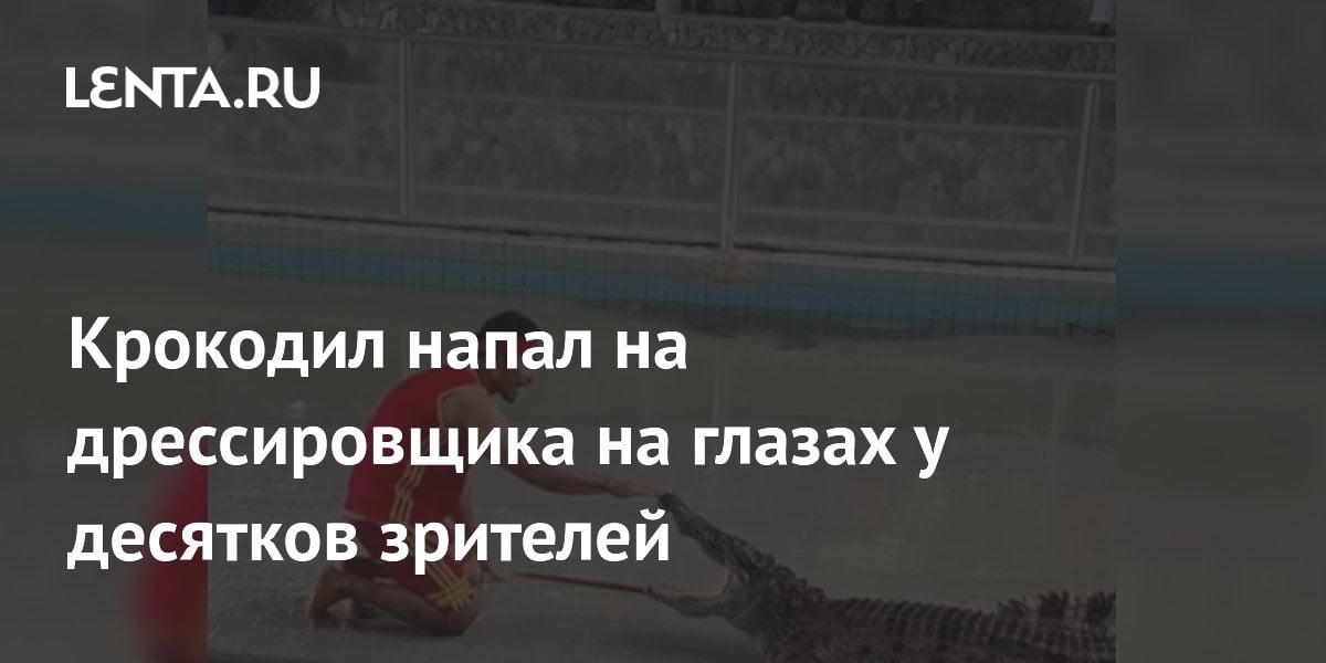 Крокодил напал на дрессировщика на глазах у десятков зрителей