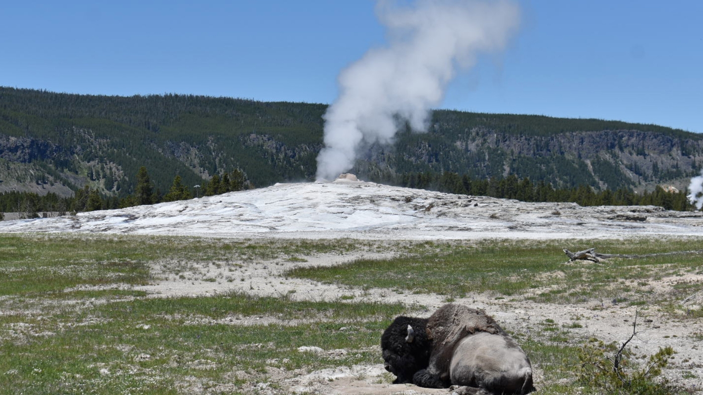 A woman sustains leg burns after straying from Yellowstone trail