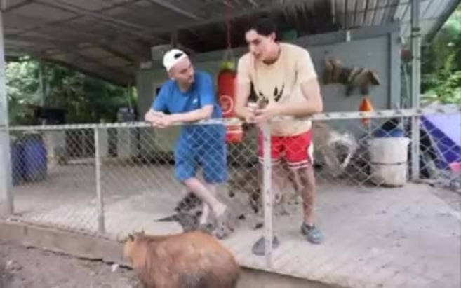 Frank Cuesta, atacado en directo por un canguro: "Me ha metido un piño que mira cómo me ha dejado la cara"