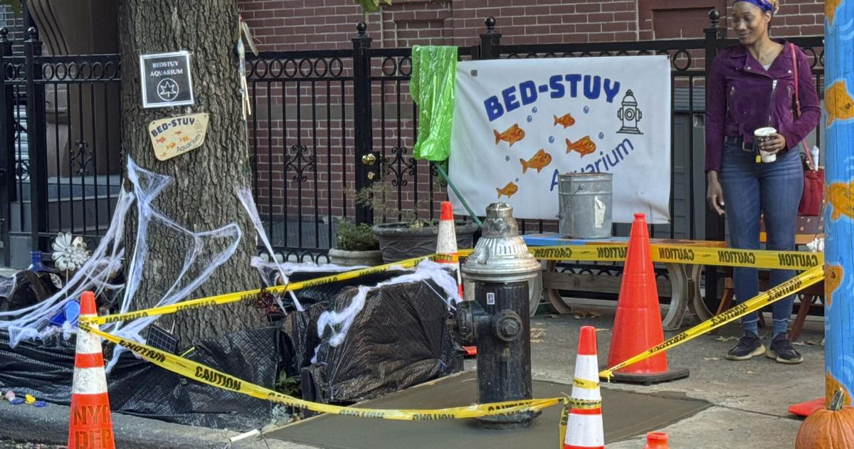 An abrupt goodbye to a guerrilla goldfish aquarium beneath a leaky Brooklyn fire hydrant