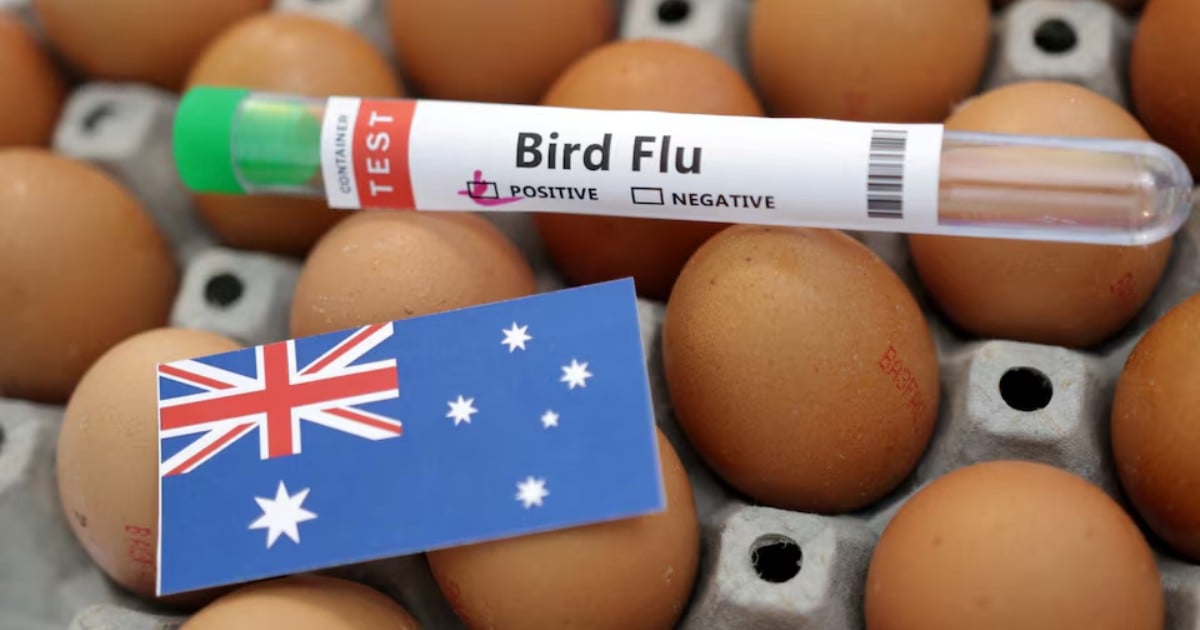 Australia commits S$56.3m to protect against bird flu