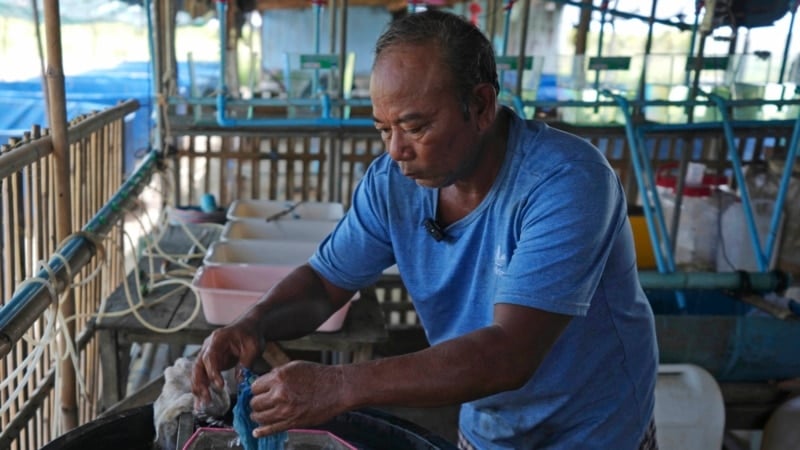 Cambodian fishermen turn to raising eels as Tonle Sap lake runs out of fish