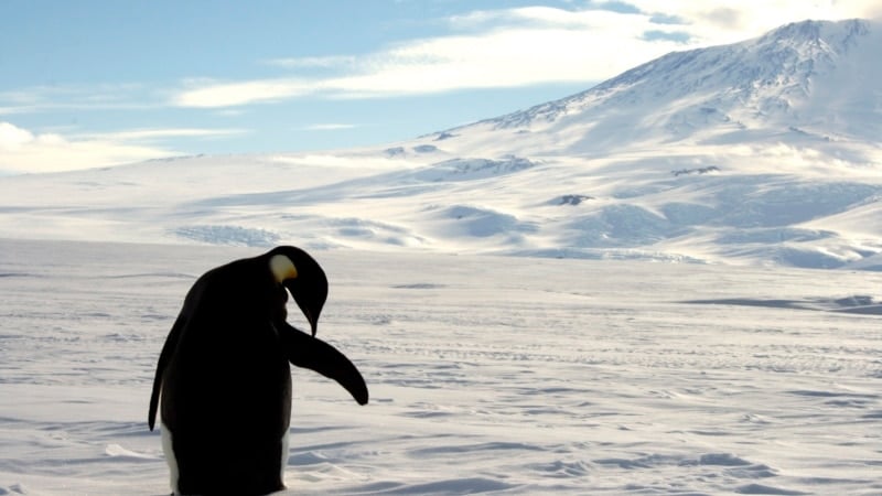 China-Russia cooperation blocks Antarctic conservation proposals