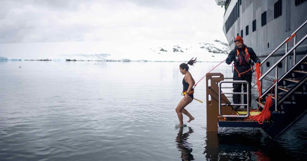 From penguins to Polar plunges: Why Antarctica should be on your bucket list