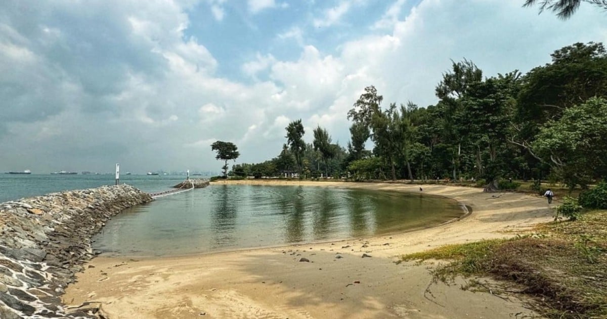 Sisters' Islands Marine Park reopens: Explore coastal trail and see corals up close