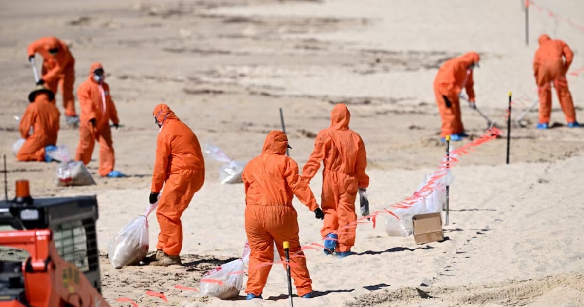 Sydney's 'mystery' toxic beach balls are cosmetic, cleaning product waste