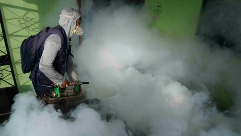 WHO launches plan to tackle growing threat of dengue, other diseases