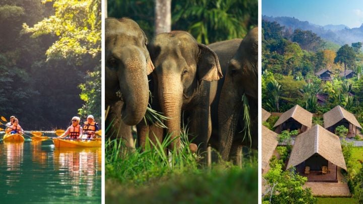 12-night luxury tour of Southern Thailand with elephant experience ️