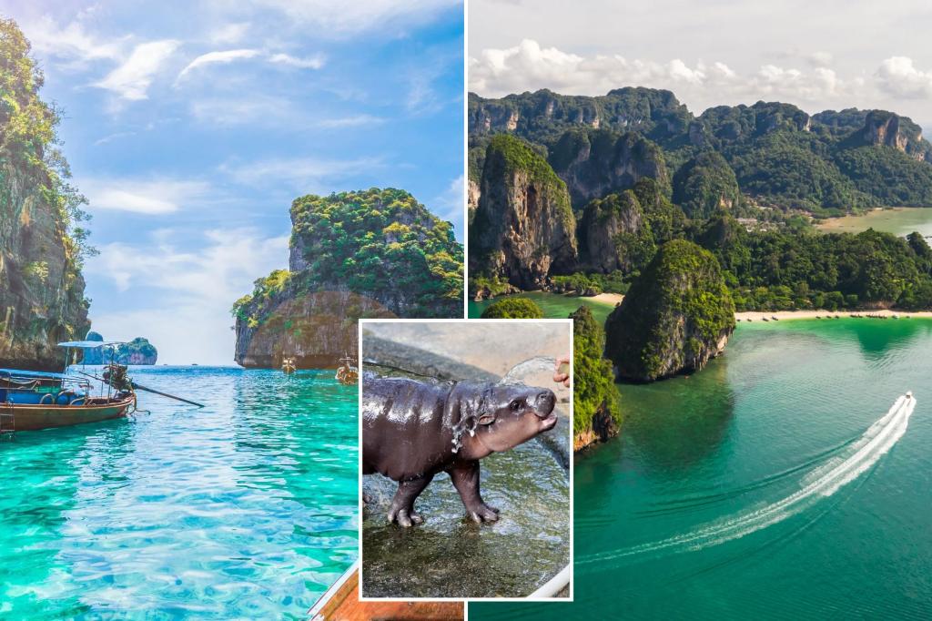 The Moo Deng effect? Thailand named ‘destination of the year’ by top travel experts