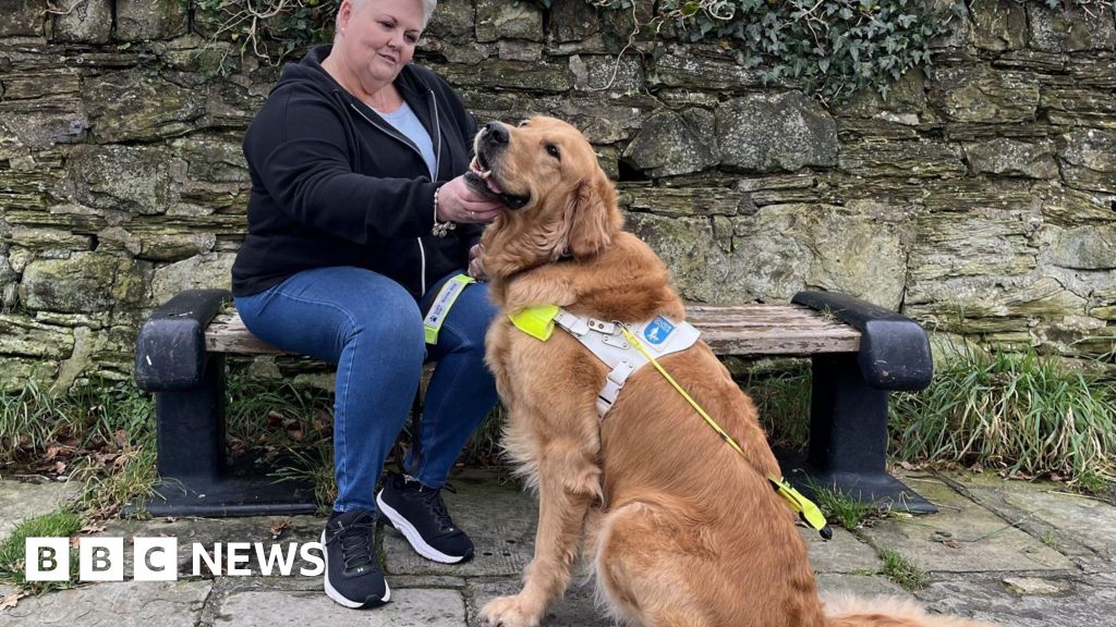 'My guide dog shakes for hours on fireworks night'