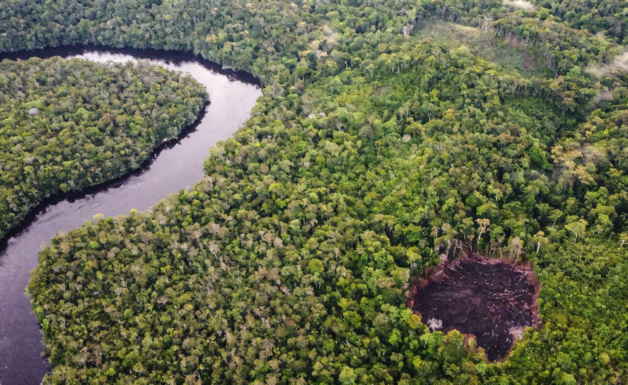 UN carbon market inches closer after COP29 agreement