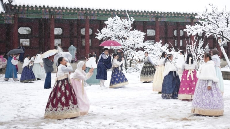 Biggest November snowstorm in 52 years hits Seoul, grounds flights