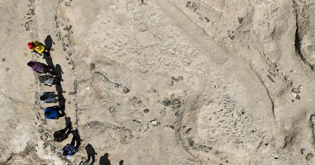 Fossil footprints in Kenya show two ancient human species coexisted