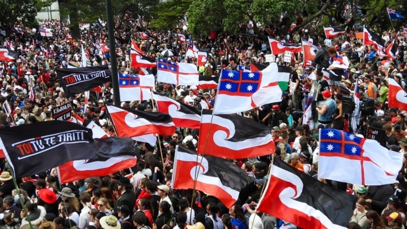 Mass rally opposes proposed New Zealand treaty reform 