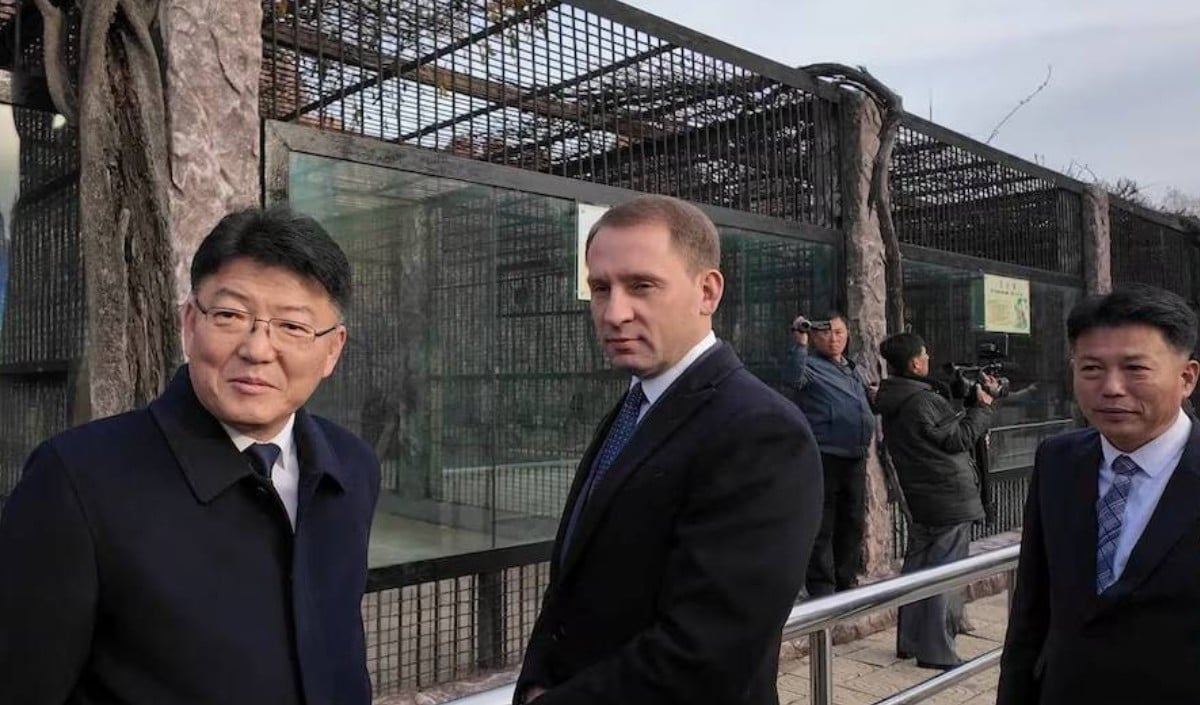 Putin gifts zoo animals, including lion and bears, to North Korean zoo