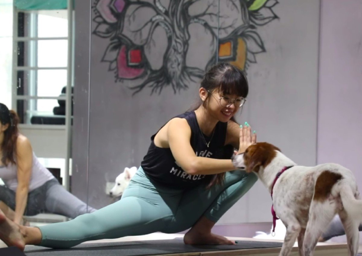 This 23-year-old animal lover opened a studio so people can attend yoga classes with their dogs