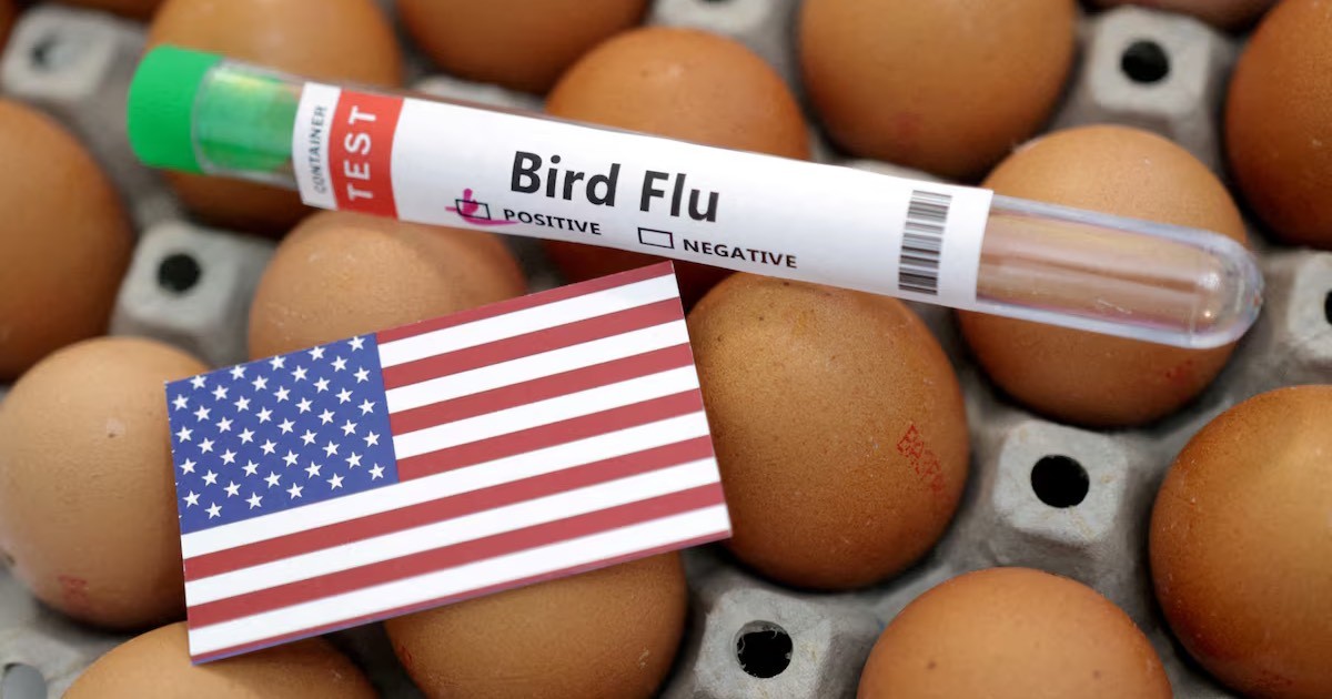 US CDC confirms H5N1 bird flu in a child in California