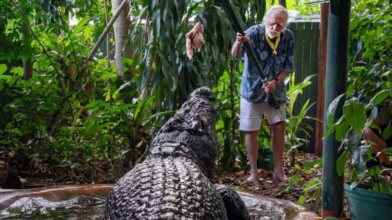 World's largest captive crocodile dies in Australia