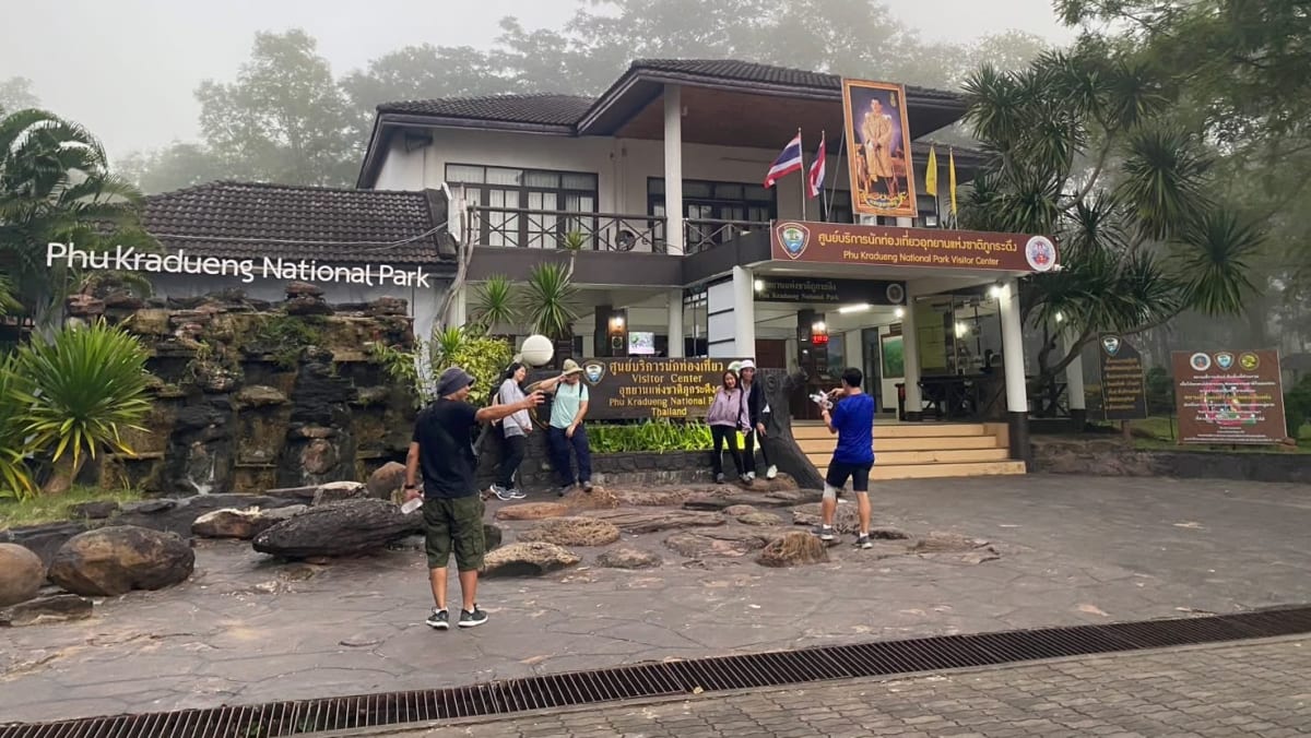 National park in Thailand closed after wild elephant kills visitor