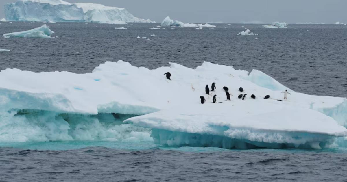 China's first atmospheric monitoring station in Antarctica begins operations