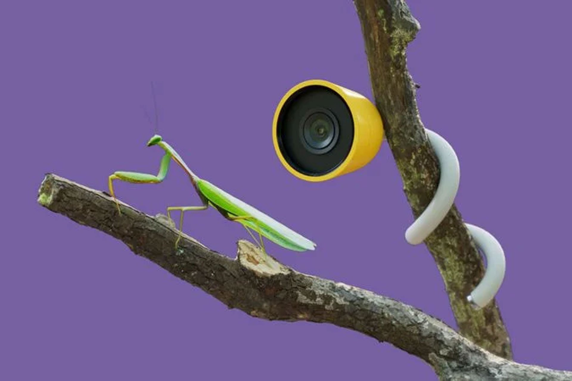 Wonder Petal Smart Garden Camera