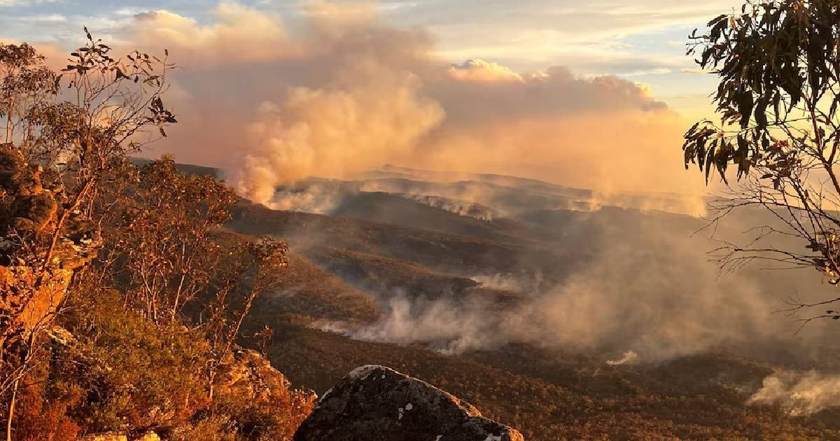 Australia's southeast braces for extreme fire danger amid intense heatwave